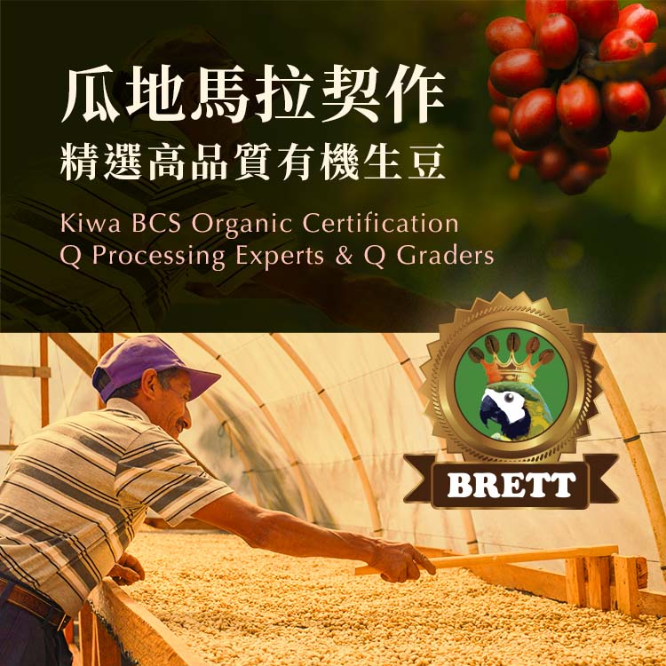 瓜地馬拉契作 精選高品質有機生豆 Kiwa BCS organic certification, Q processing experts & Q graders